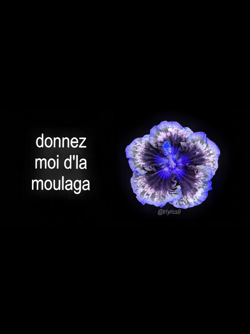@𝙏𝙍>𝙡𝙮𝙧𝙞𝙘𝙨