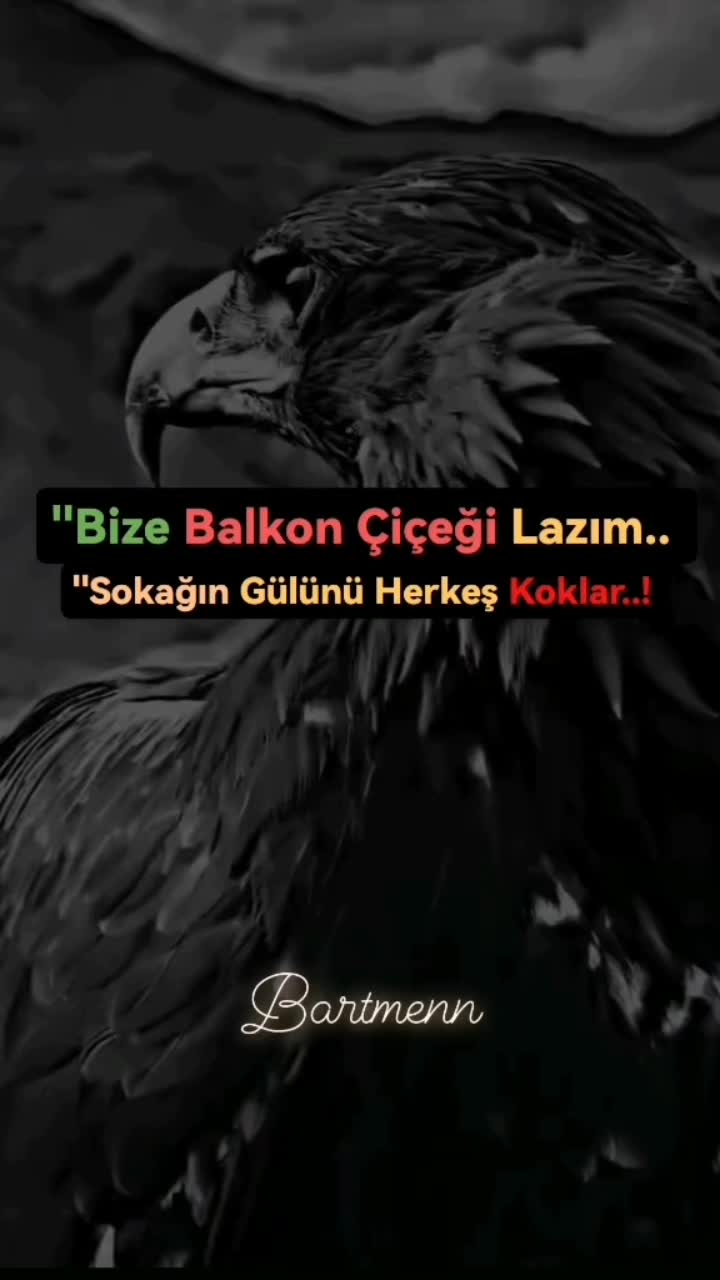 @Bartmenn
