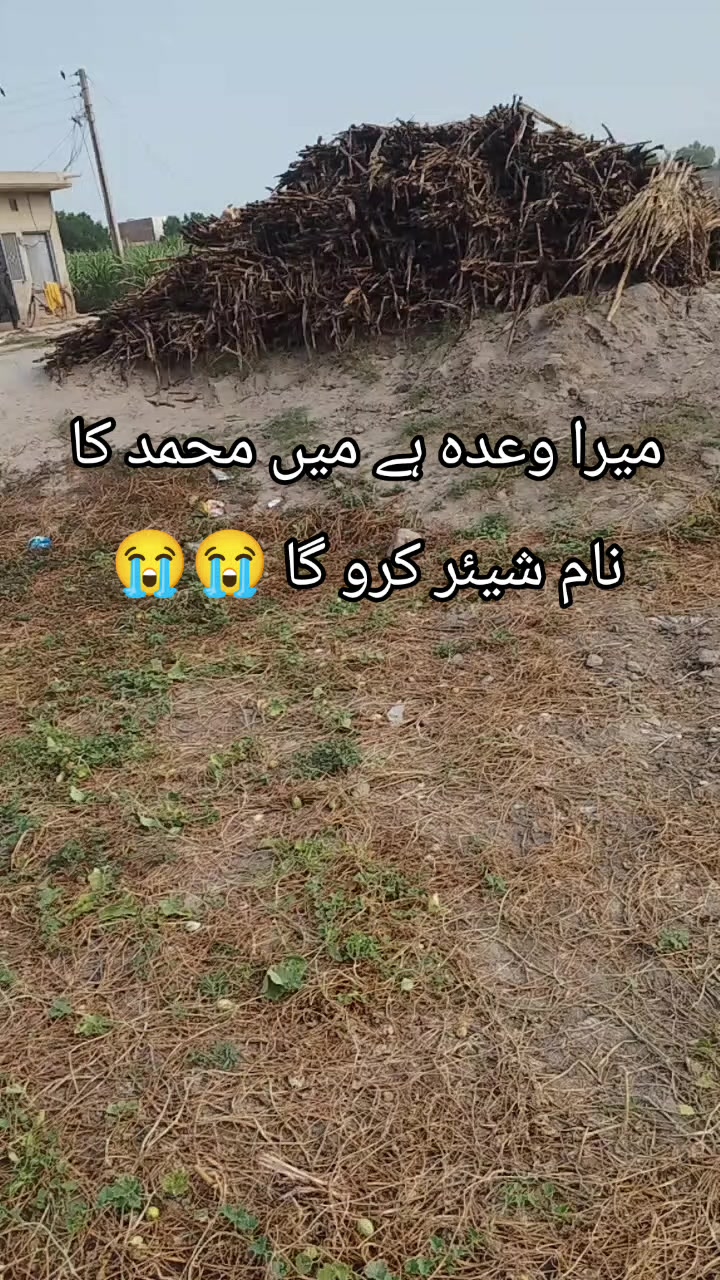 @<'پاگل' ہو >🦋