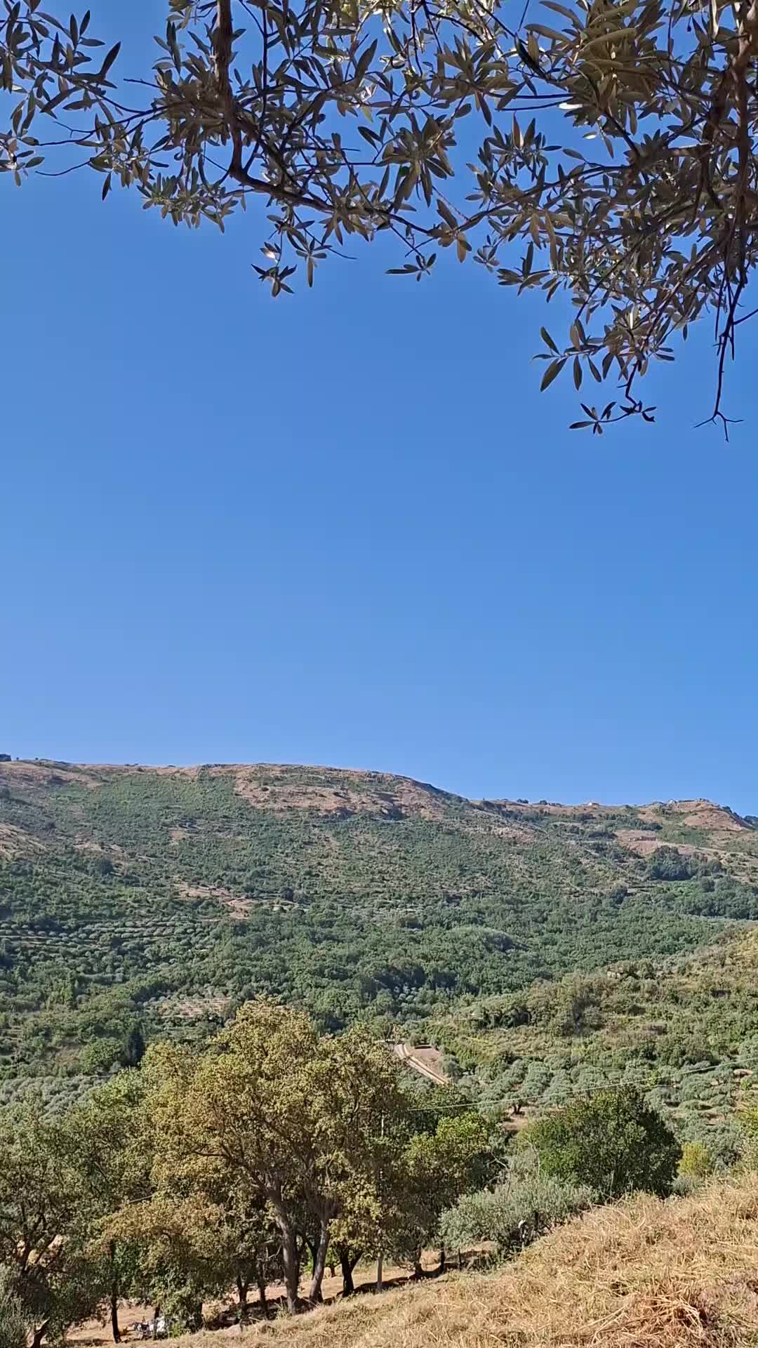 @same  🇮🇹 issmail 🇮🇹