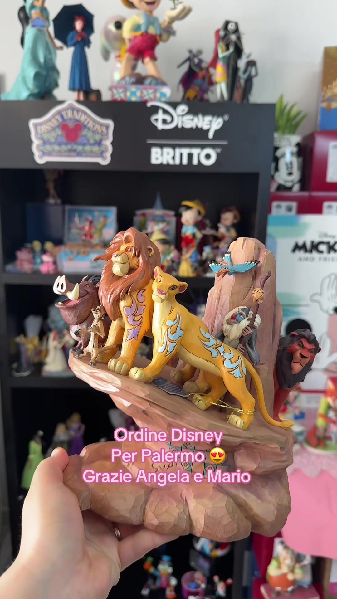 @✨Silvia Palmieri | Disney 🎡