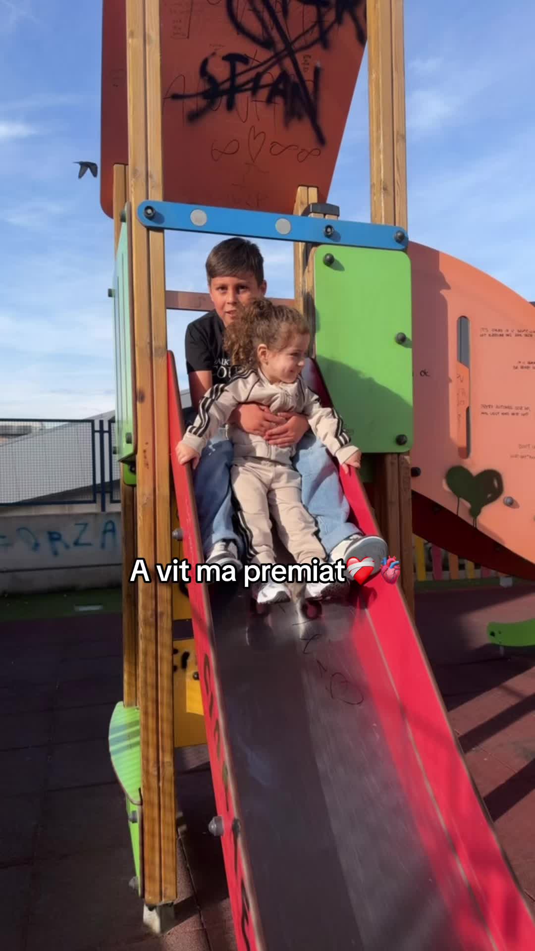 @noemycicchino_