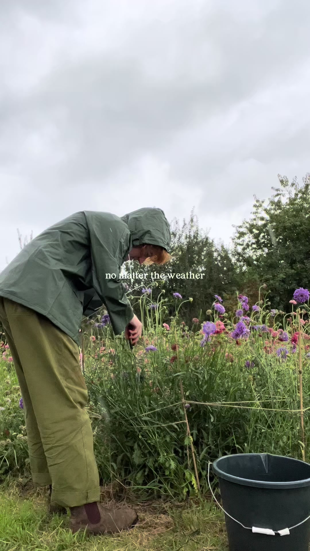@Roisin 🌷 VerdeFlowerCo