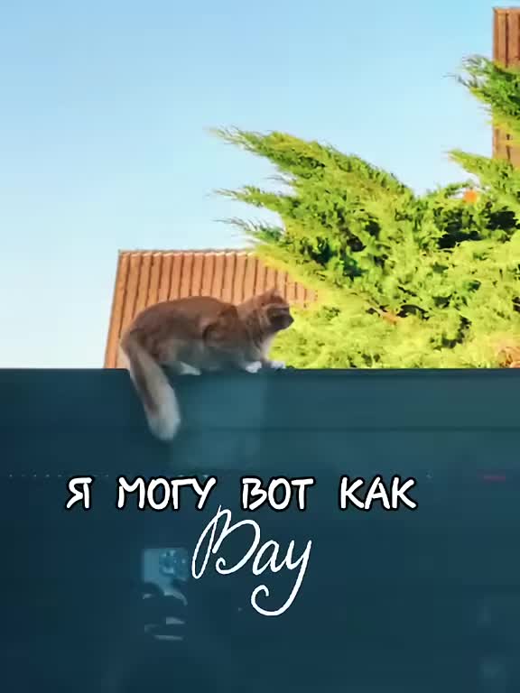 @GlaMurka🐈