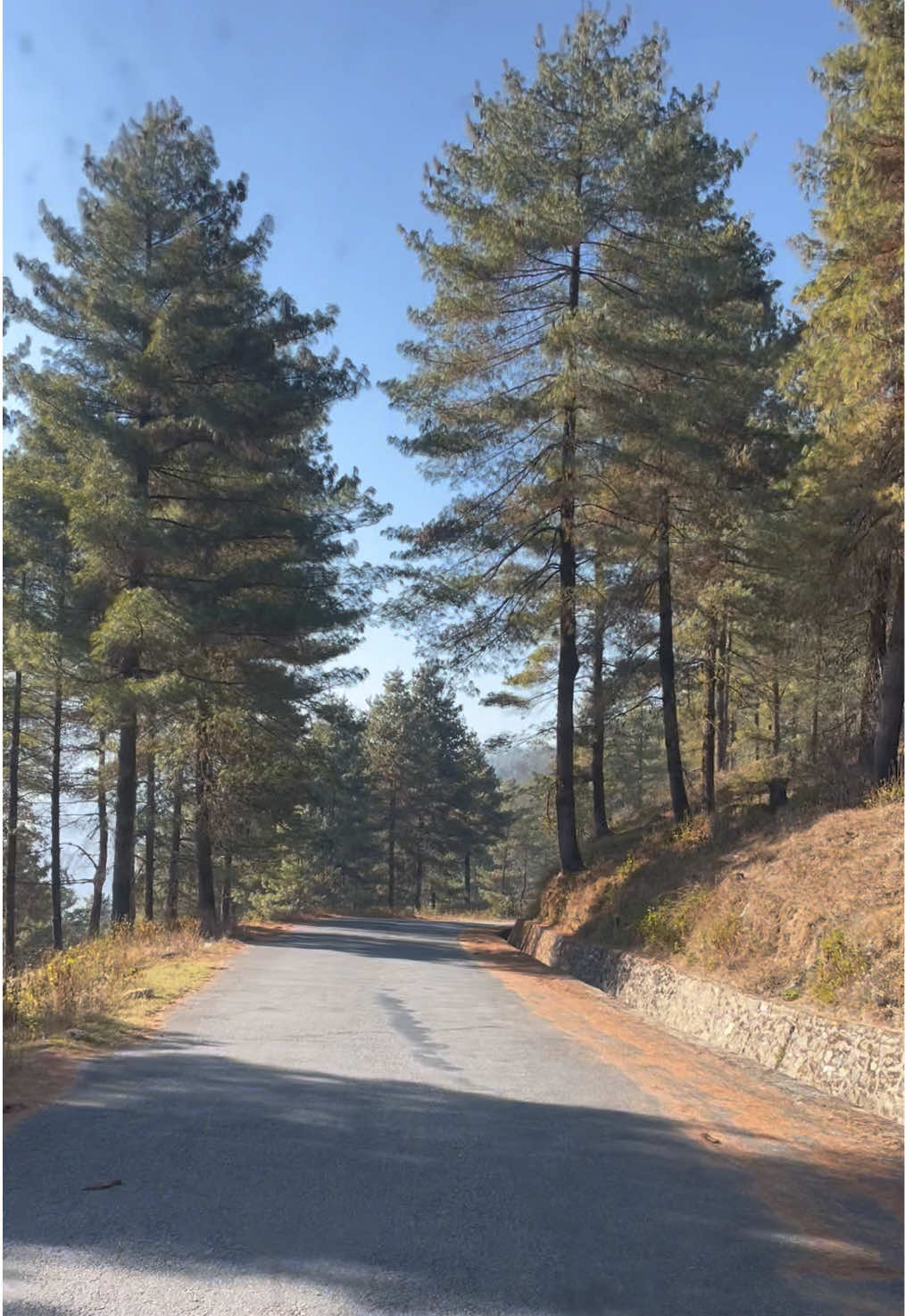 @Peace🏔️❤️🩹