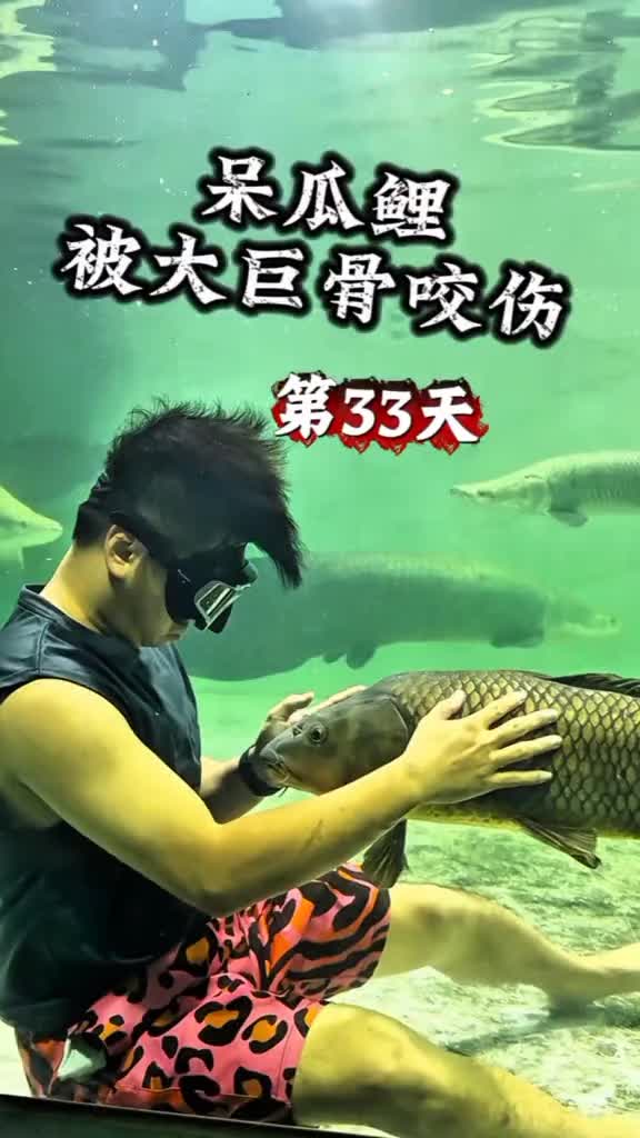 @Monsterfishkeeper