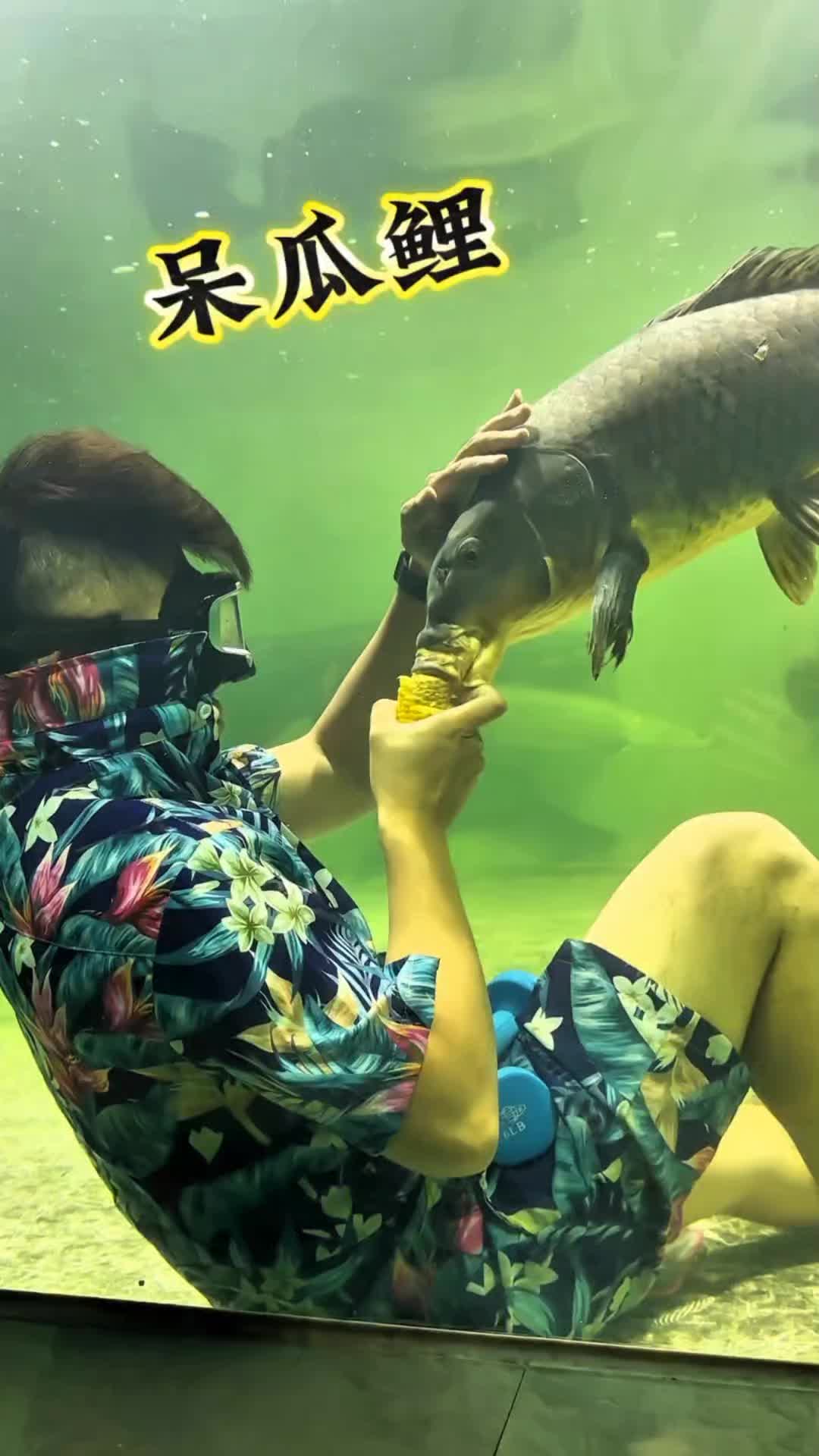 @Monsterfishkeeper