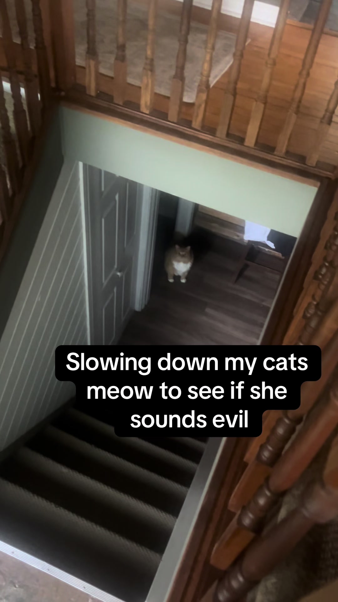 @Zoey