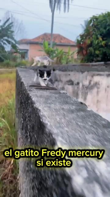 @el fantasma