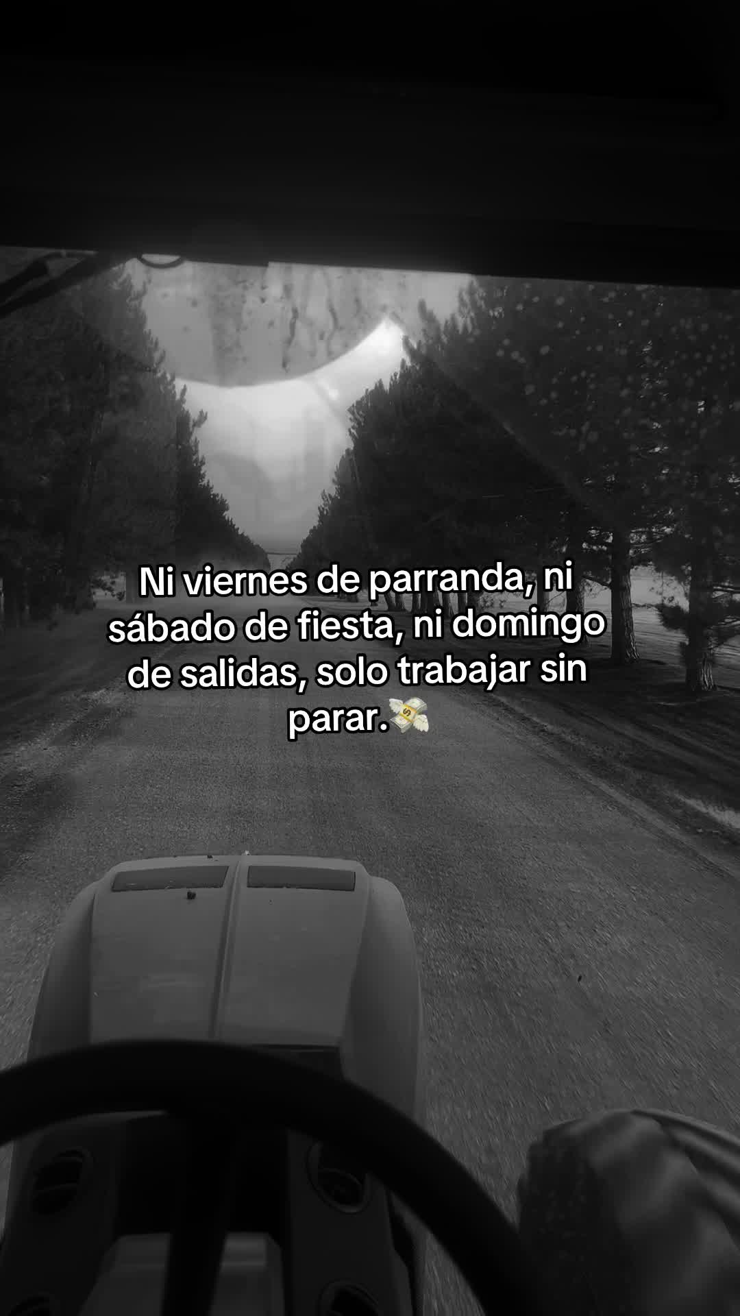 @MARTÍN 🍃