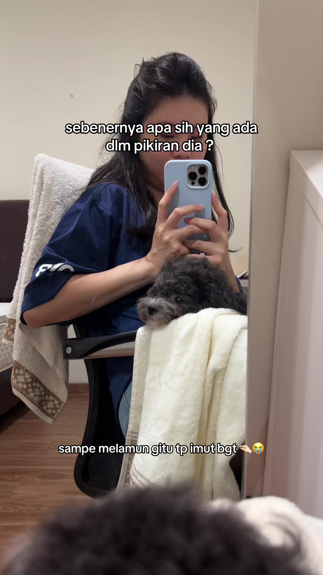 @chippi the poochon