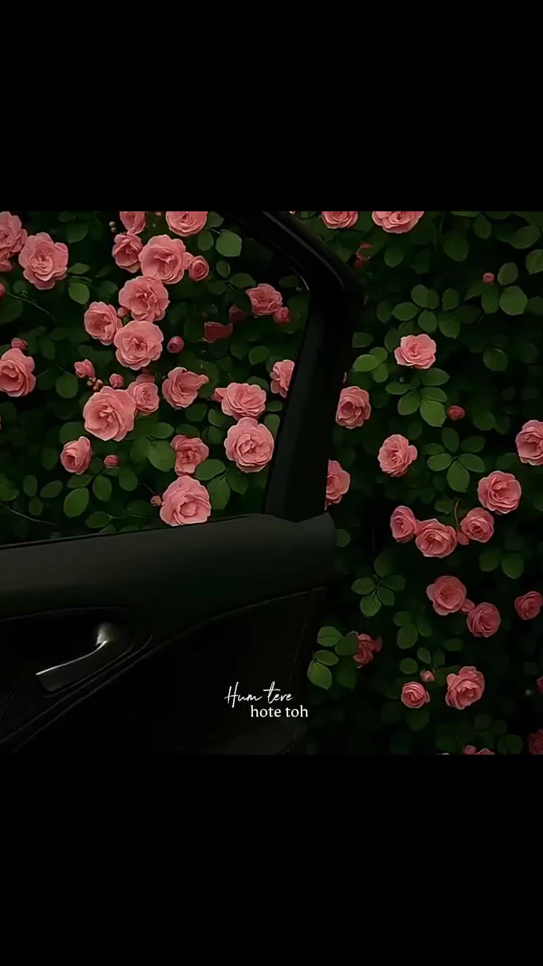 @★彡[ᴠɪʙɪɴɢᴡɪᴛʜ_ᴡᴀꜱɪꜰꜱʜᴀʜᴢᴀᴅ]彡★