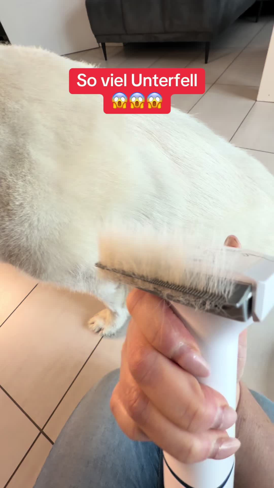 @Braunici