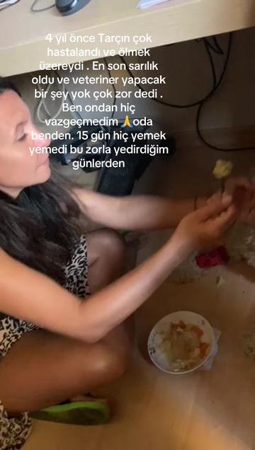 @Berna