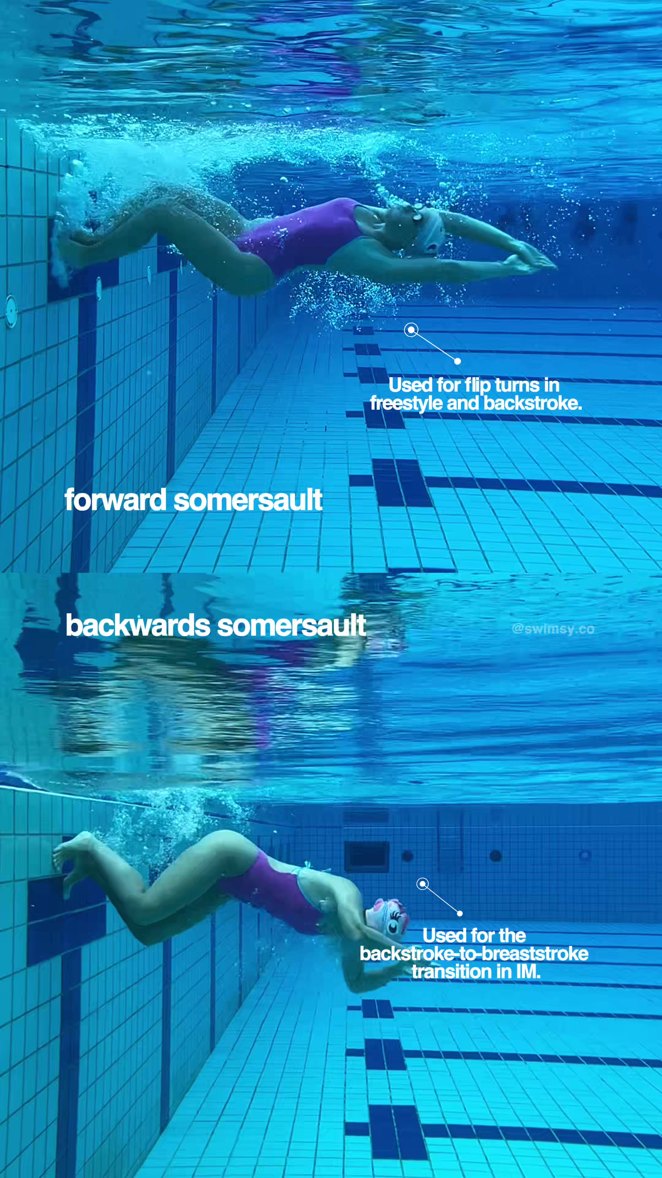 @Swimsy.co | Swim platform