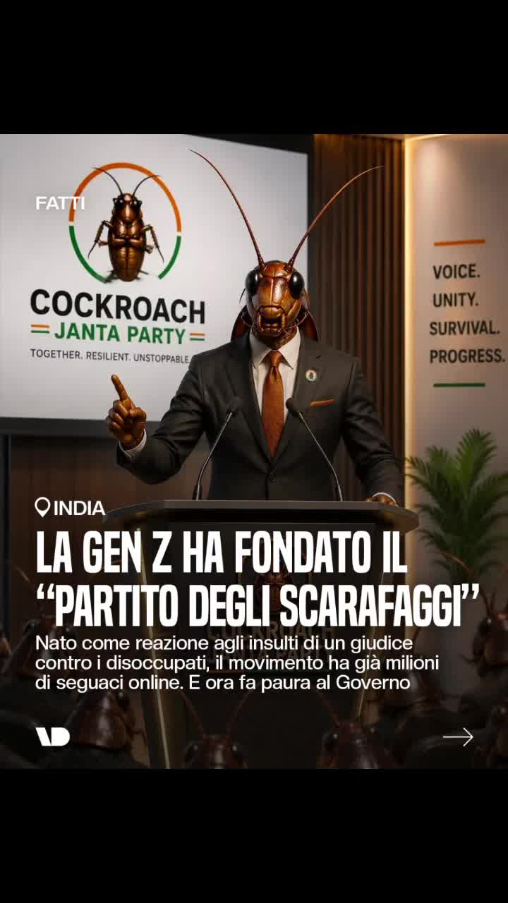 @VDnews
