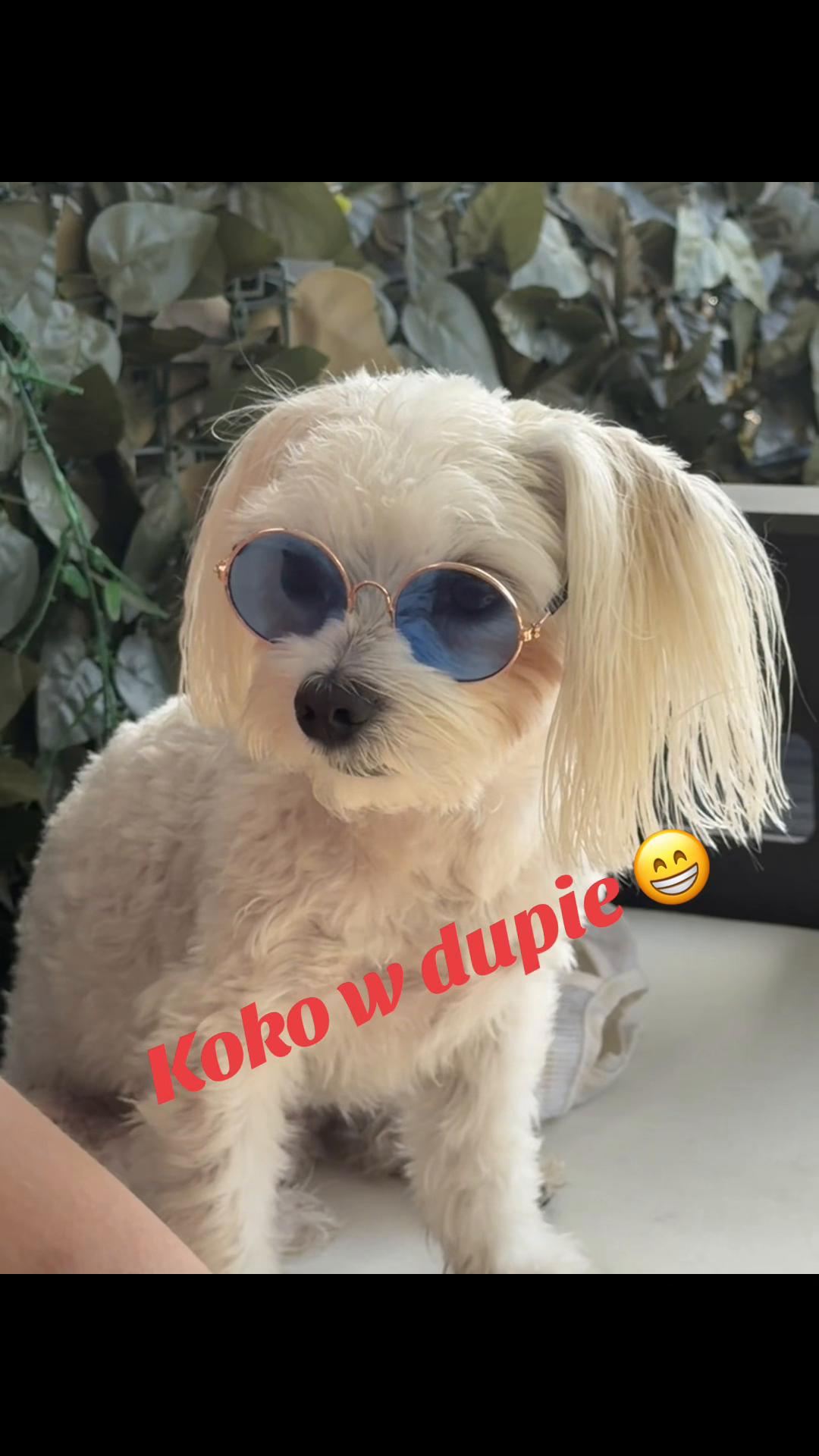 @Julita Odważna