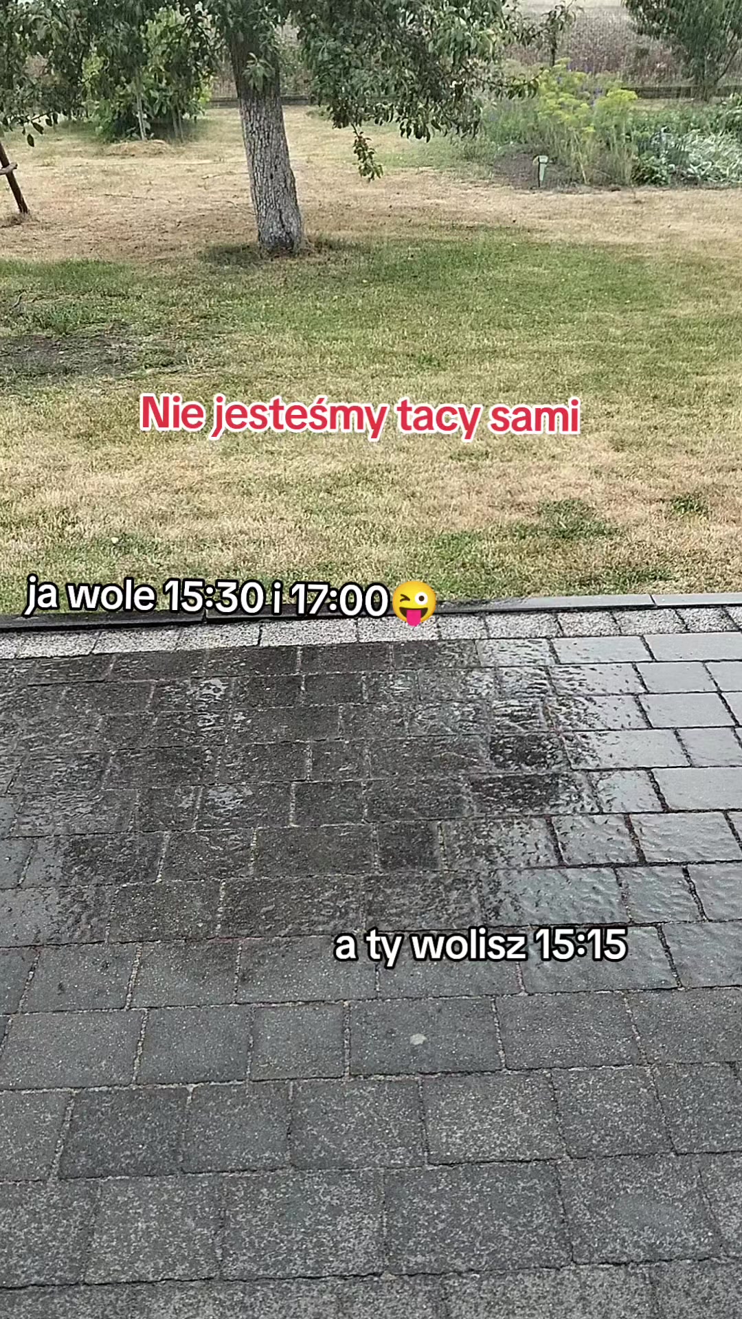 @๐ค๐ฝ๐๐๐'๐_๐๐๐๐๐๐๐ค