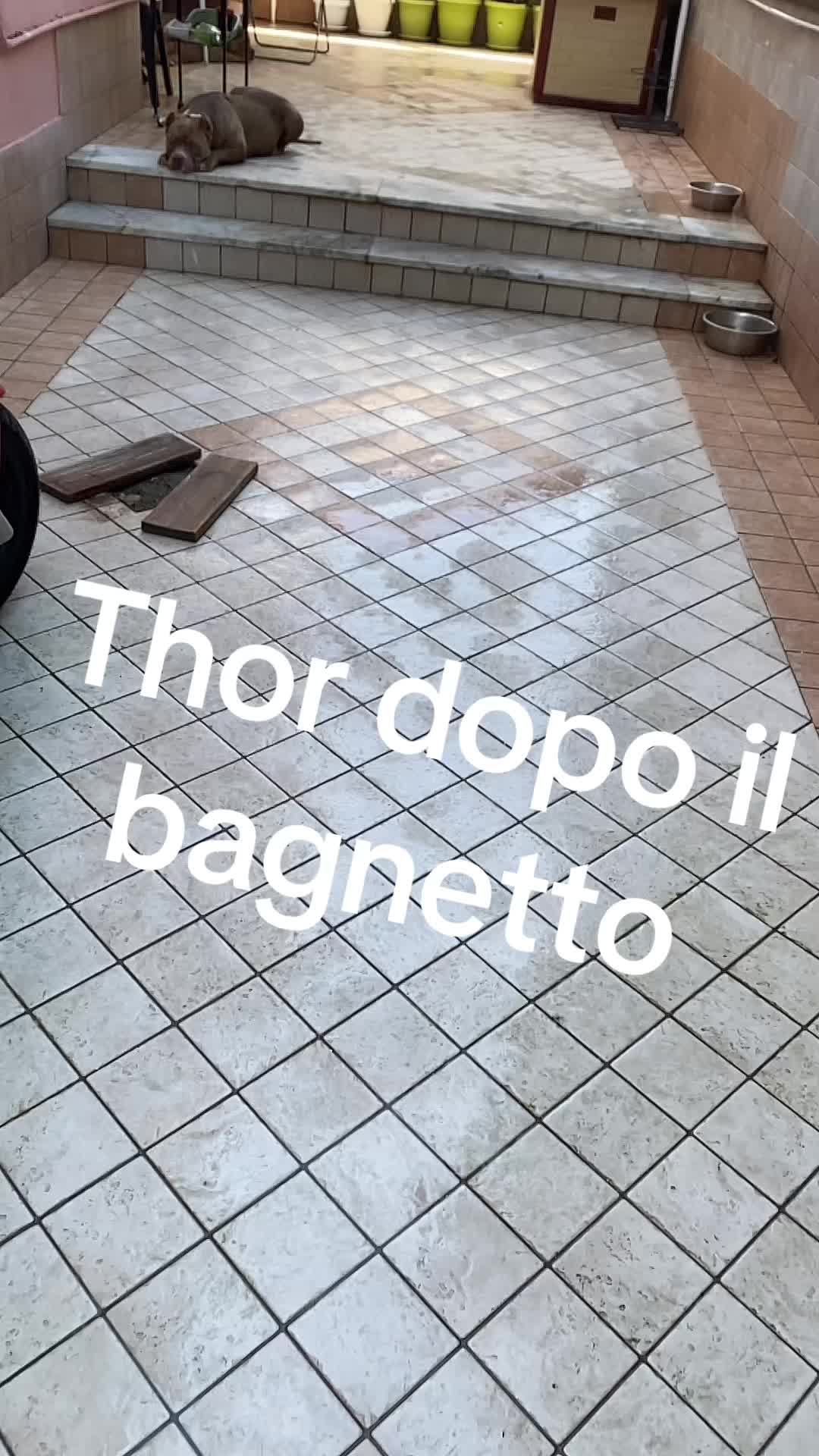 @Thor alessandra Simone
