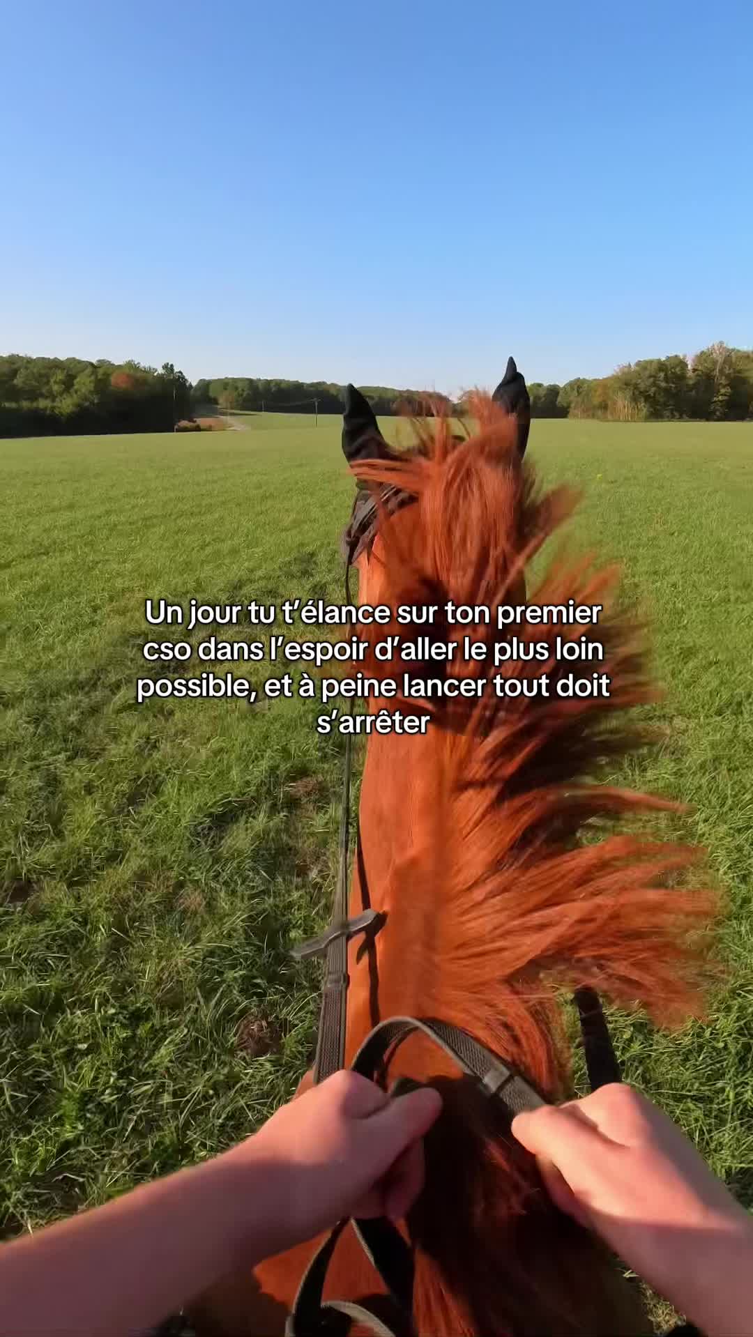 @Rolly&compagnie