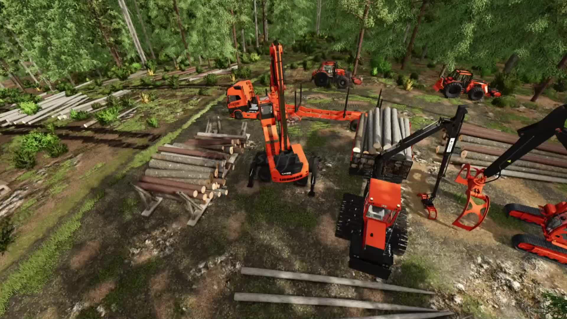 @SONS OF FORESTRY