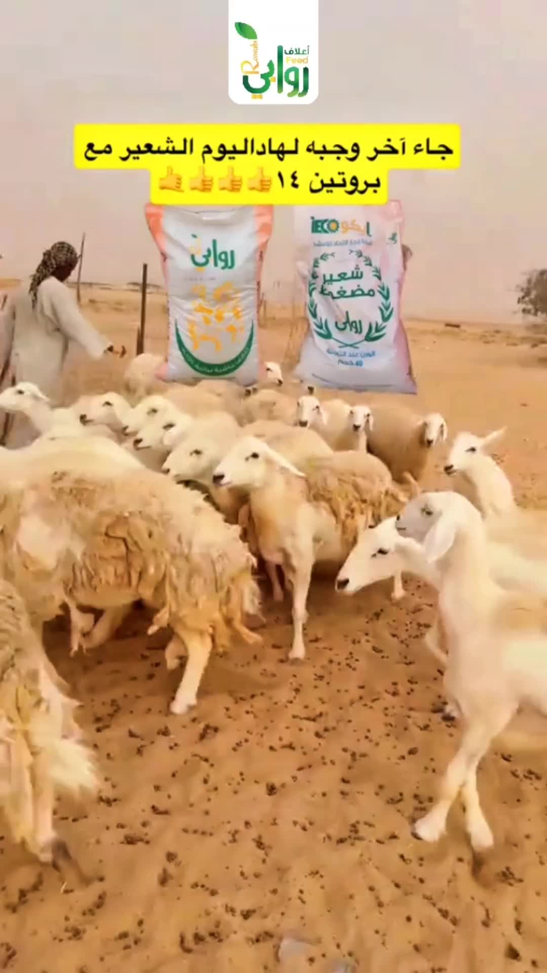 @RAWABI FEED | أعلاف روابي