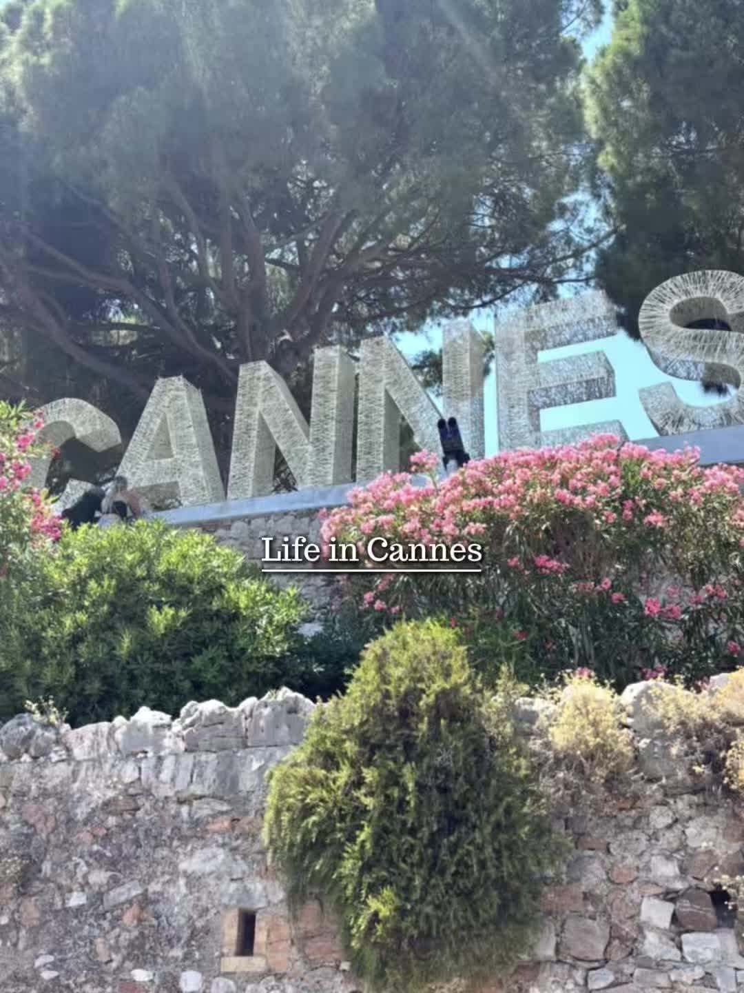 @αηαιs