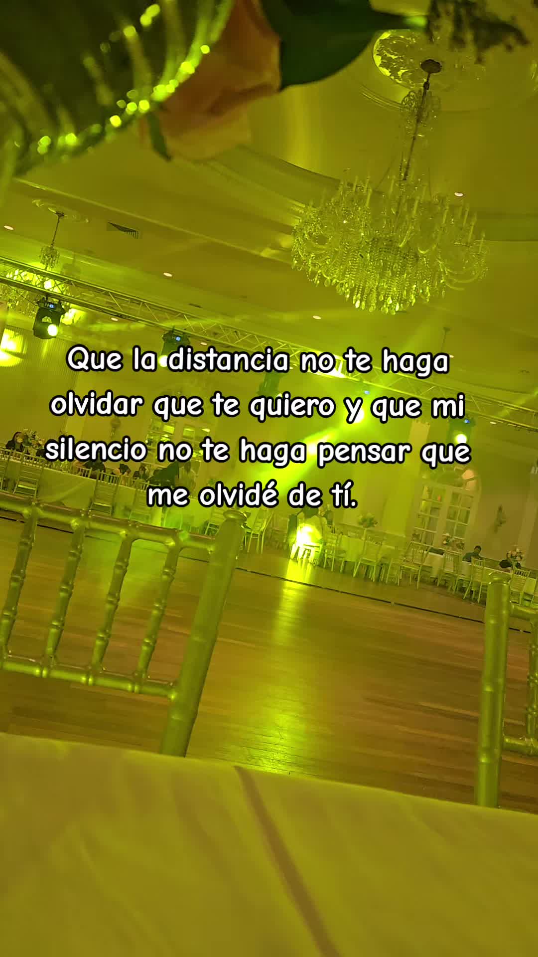 @🌸 𝐾aLixTaa🌻