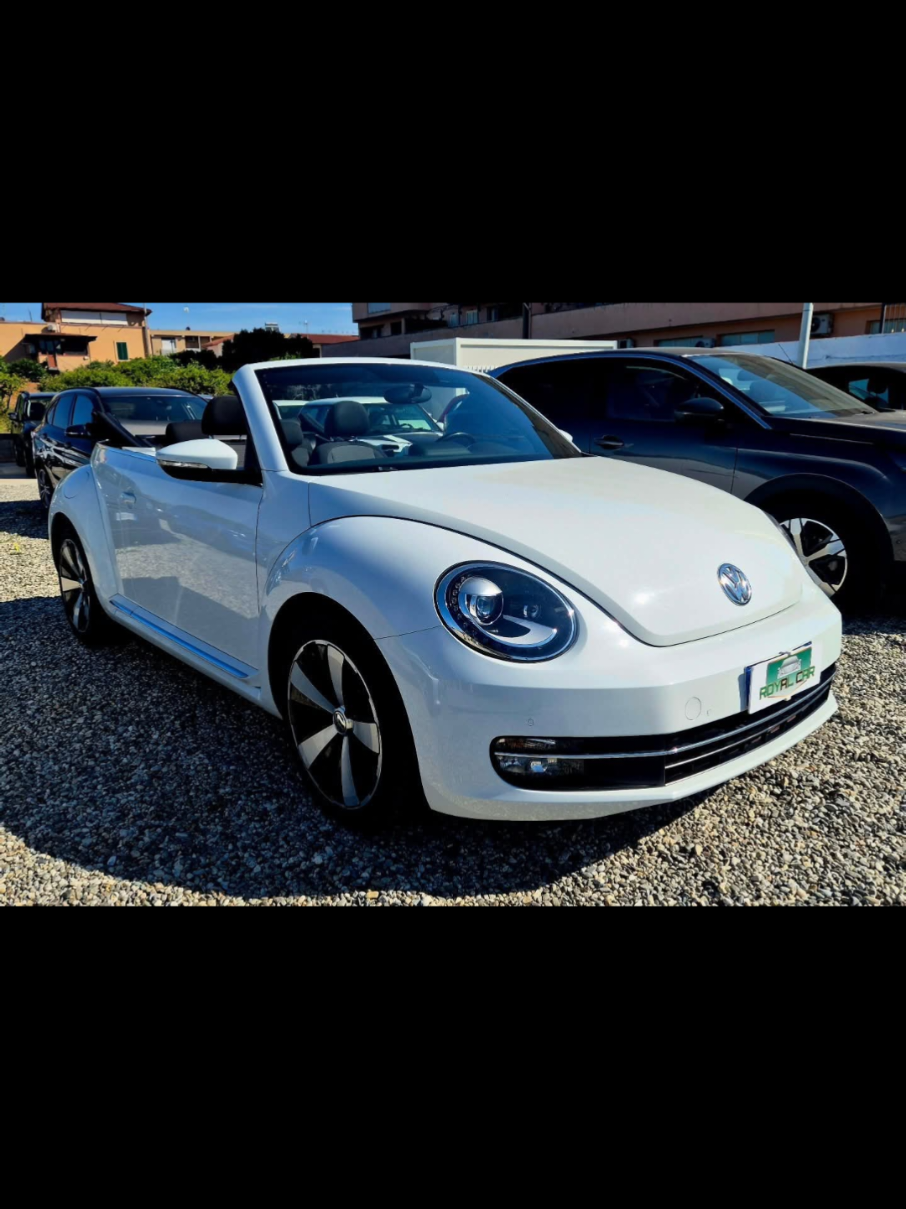 @RoyalCarRC