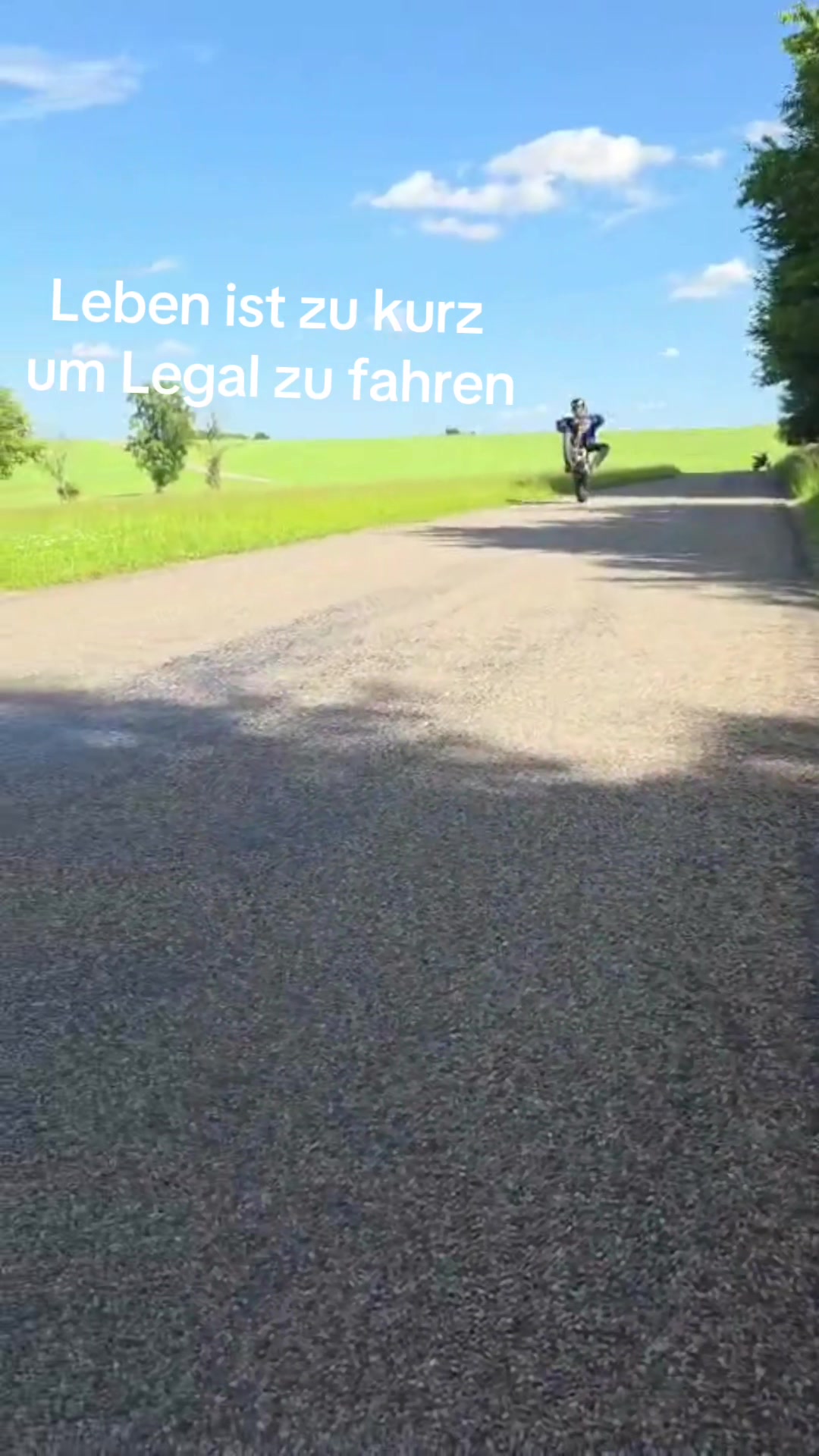 @Domi