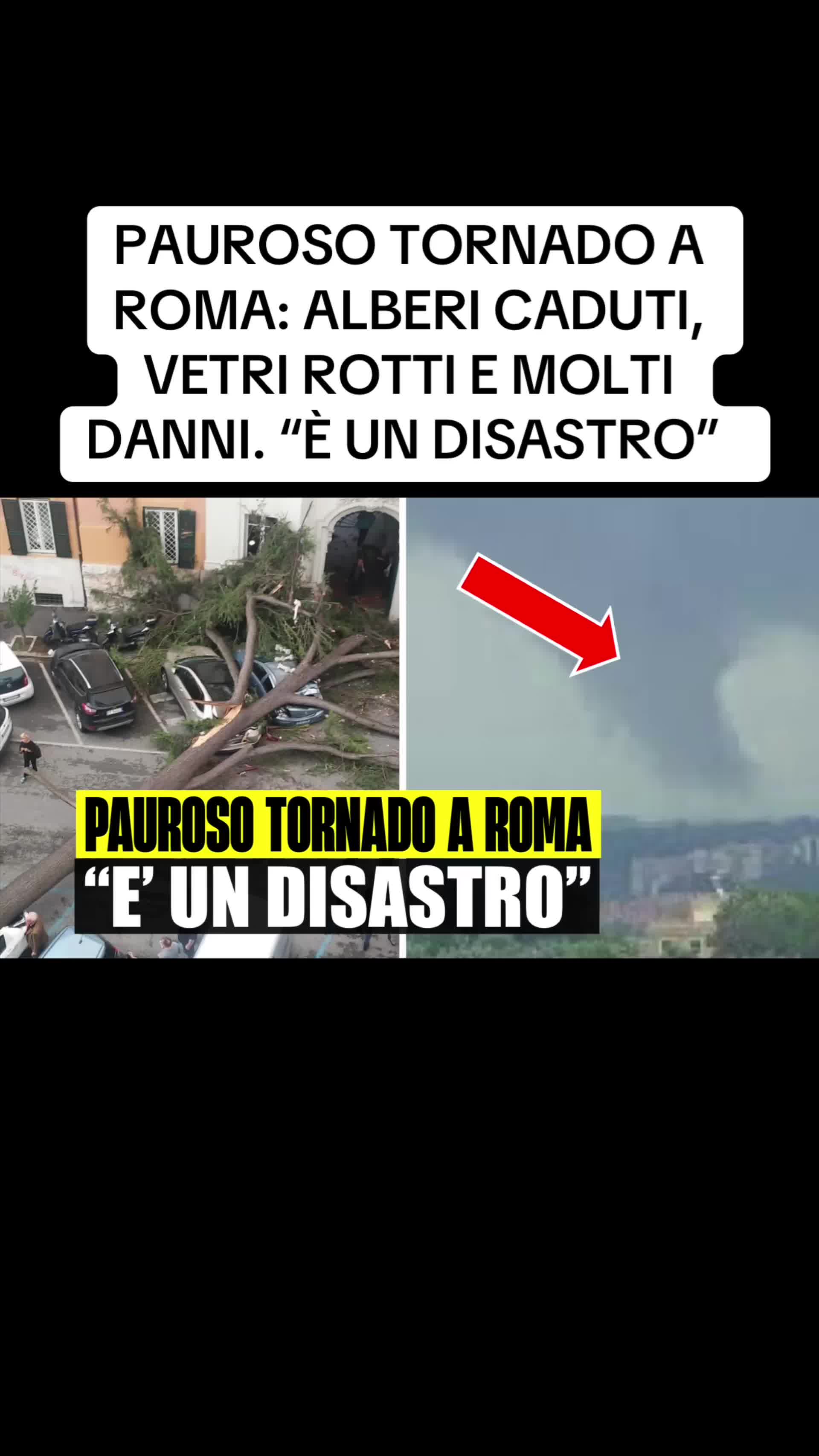 @flashtv_notizie