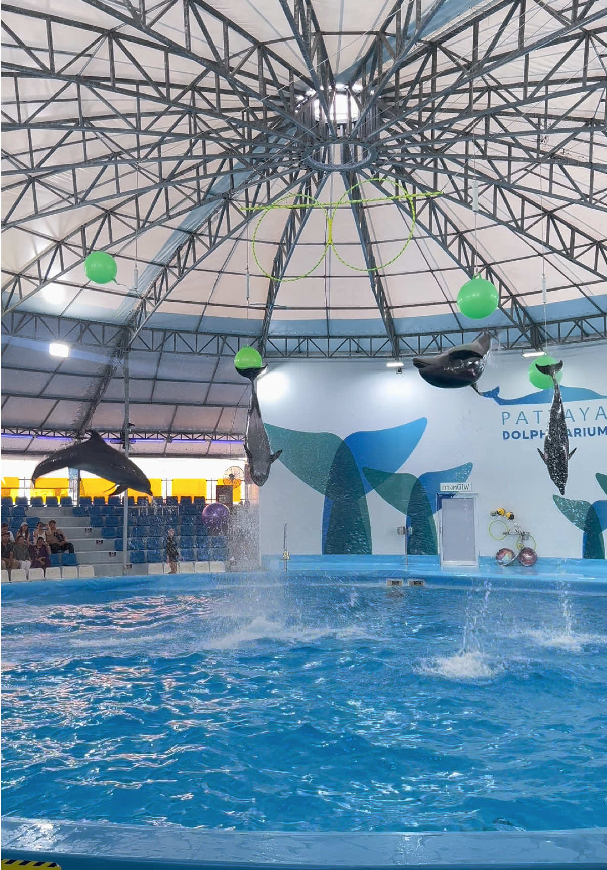 @Pattaya Dolphinarium