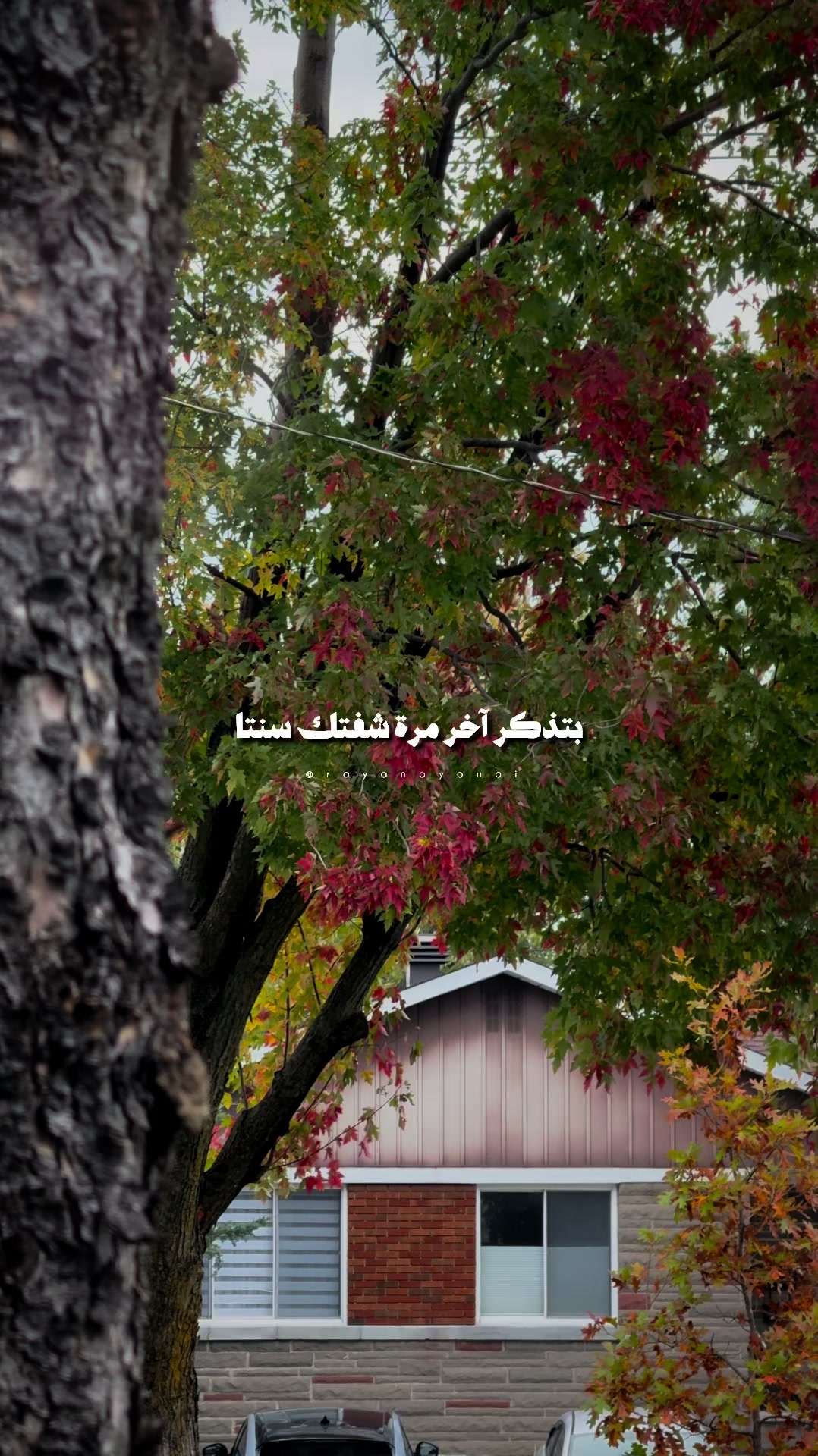 @Rayan El Ayoubi