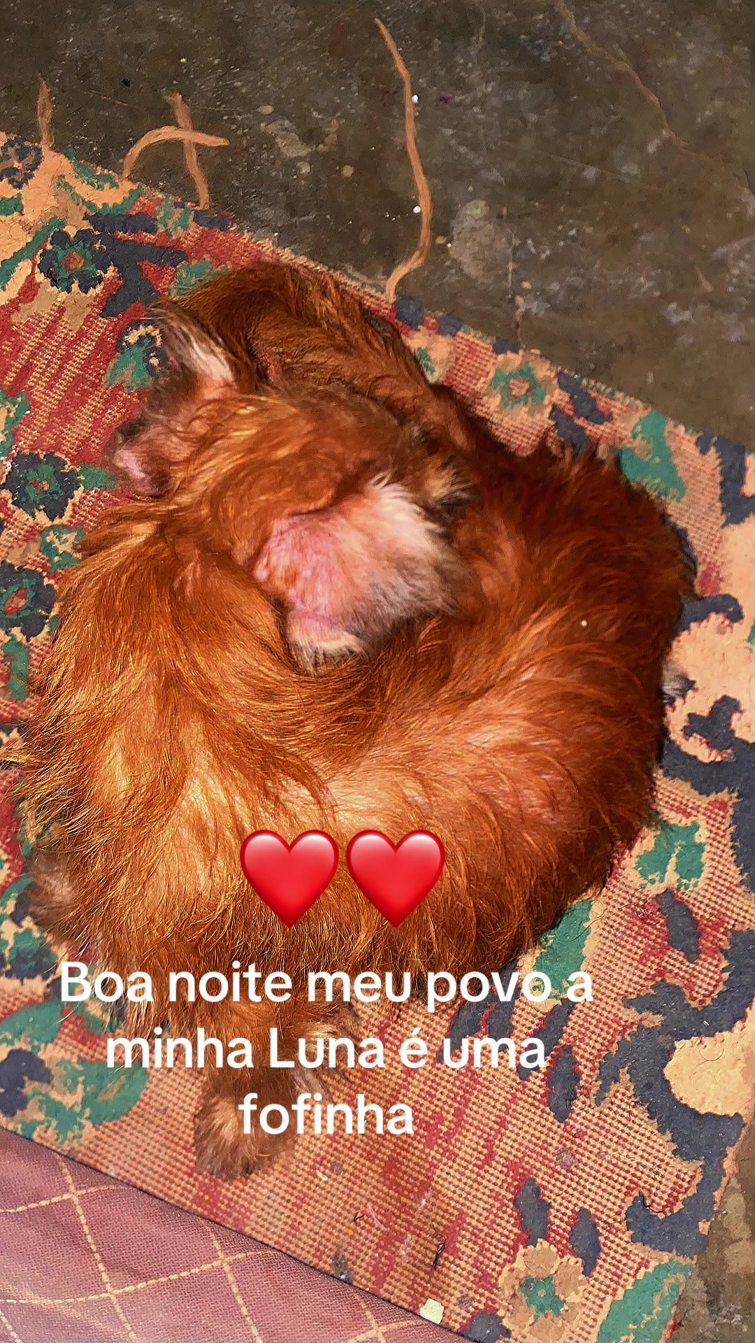 @Lupita TikTok๐๐๐๐๐