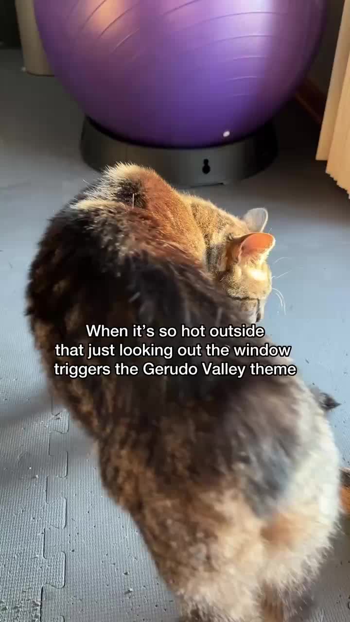 @Chip The Manx
