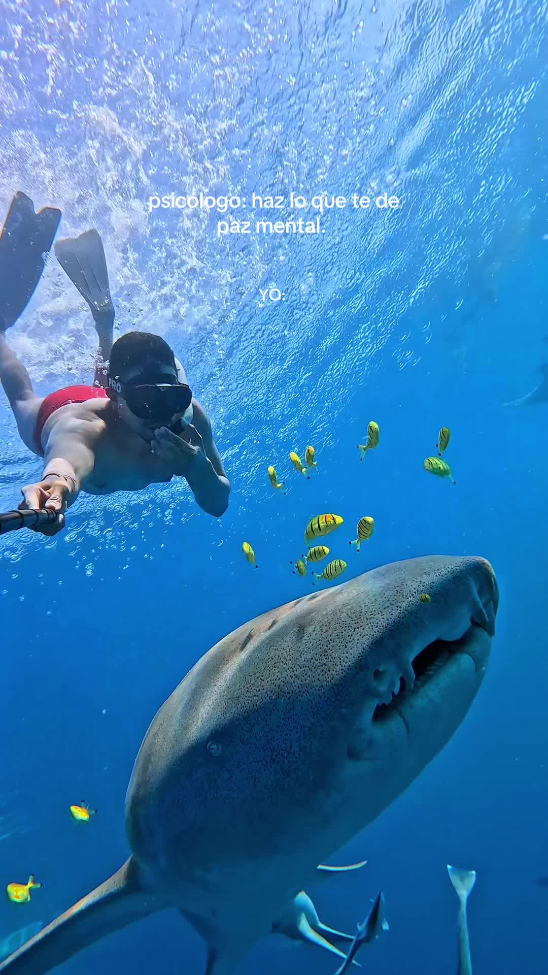 @moiporelmundo🌴🌊🇨🇴