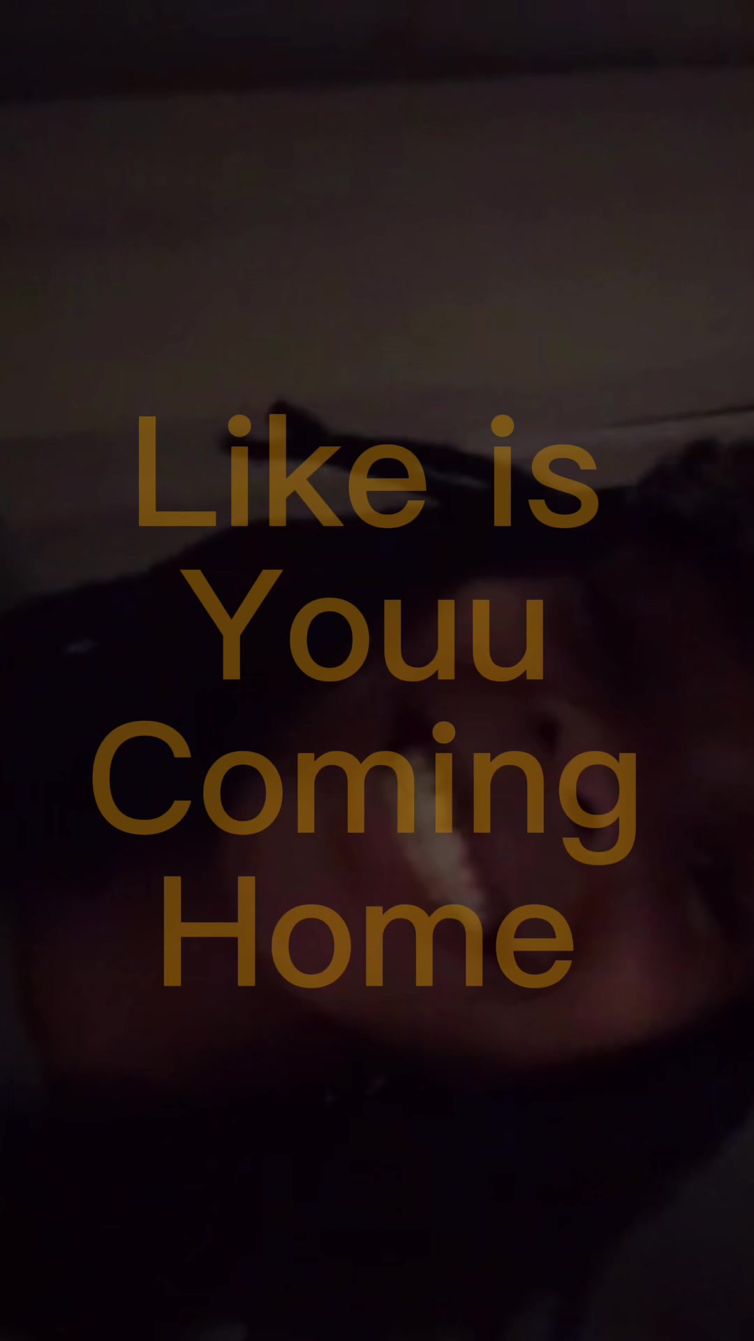 @Lia🥰