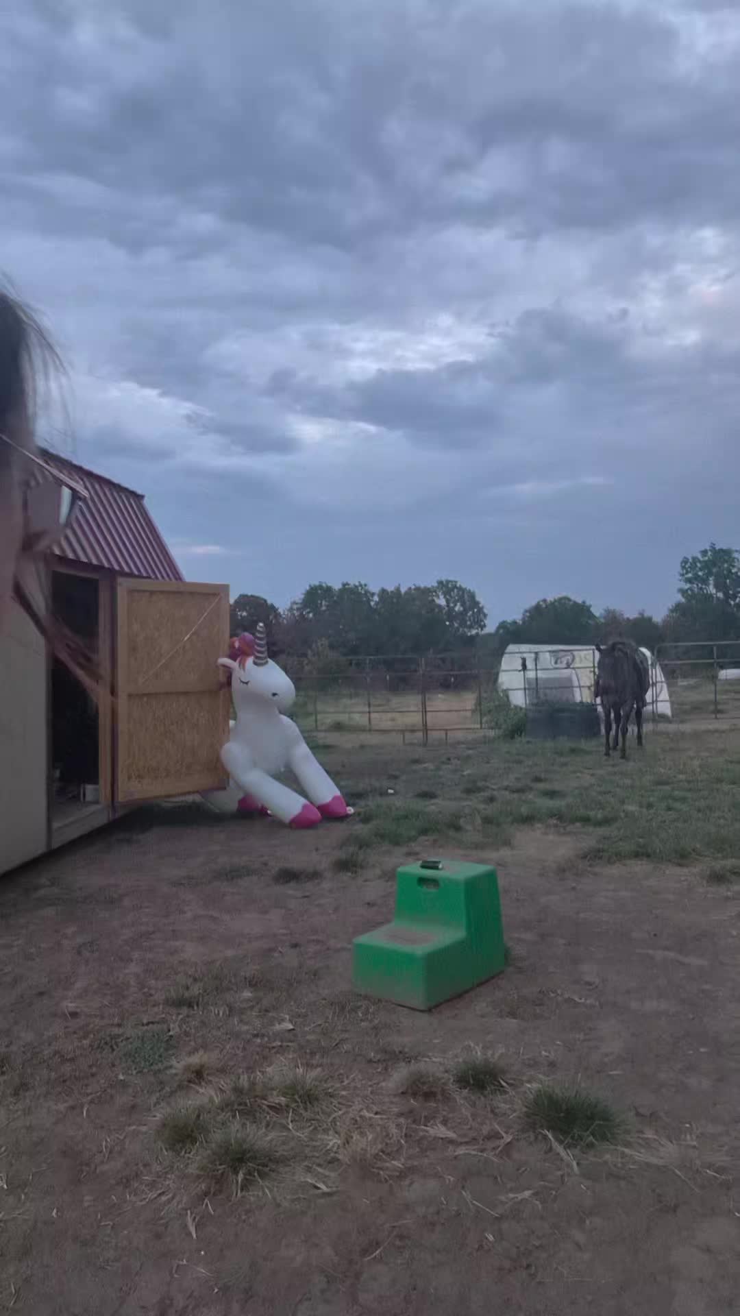 @pussnboots4555
