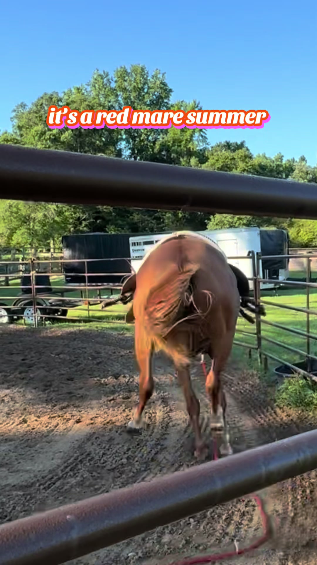 @Katie | The English Cowboy