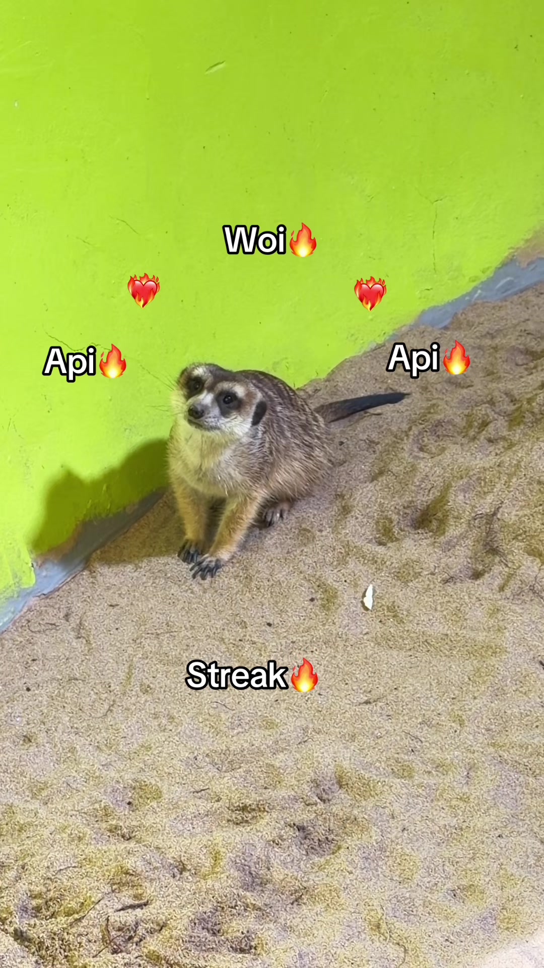 @Chuppy