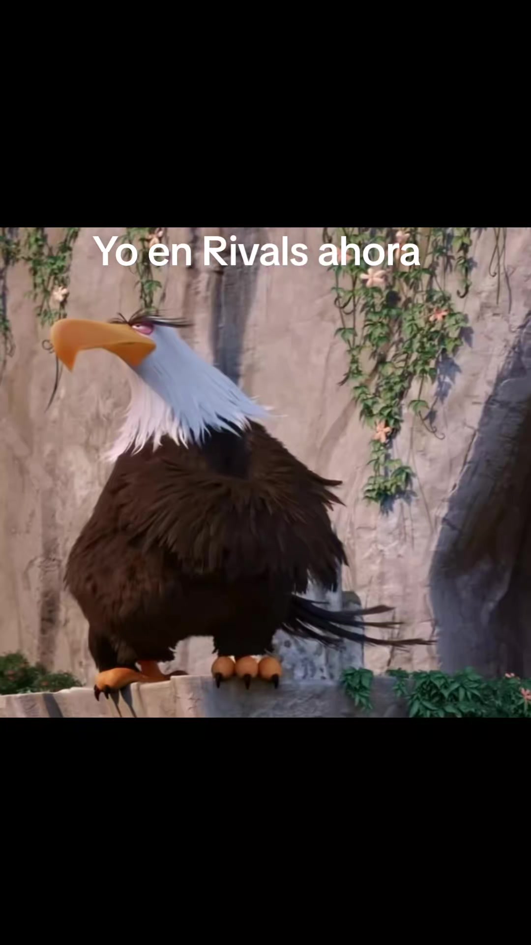@RivalX