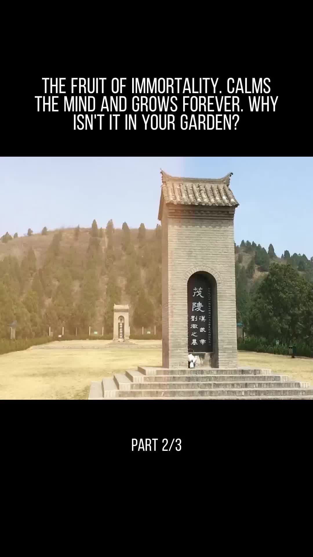 @user32331650853717