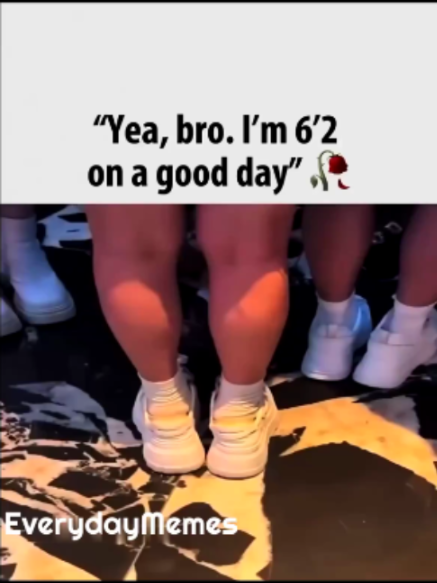 @EverydayMemes