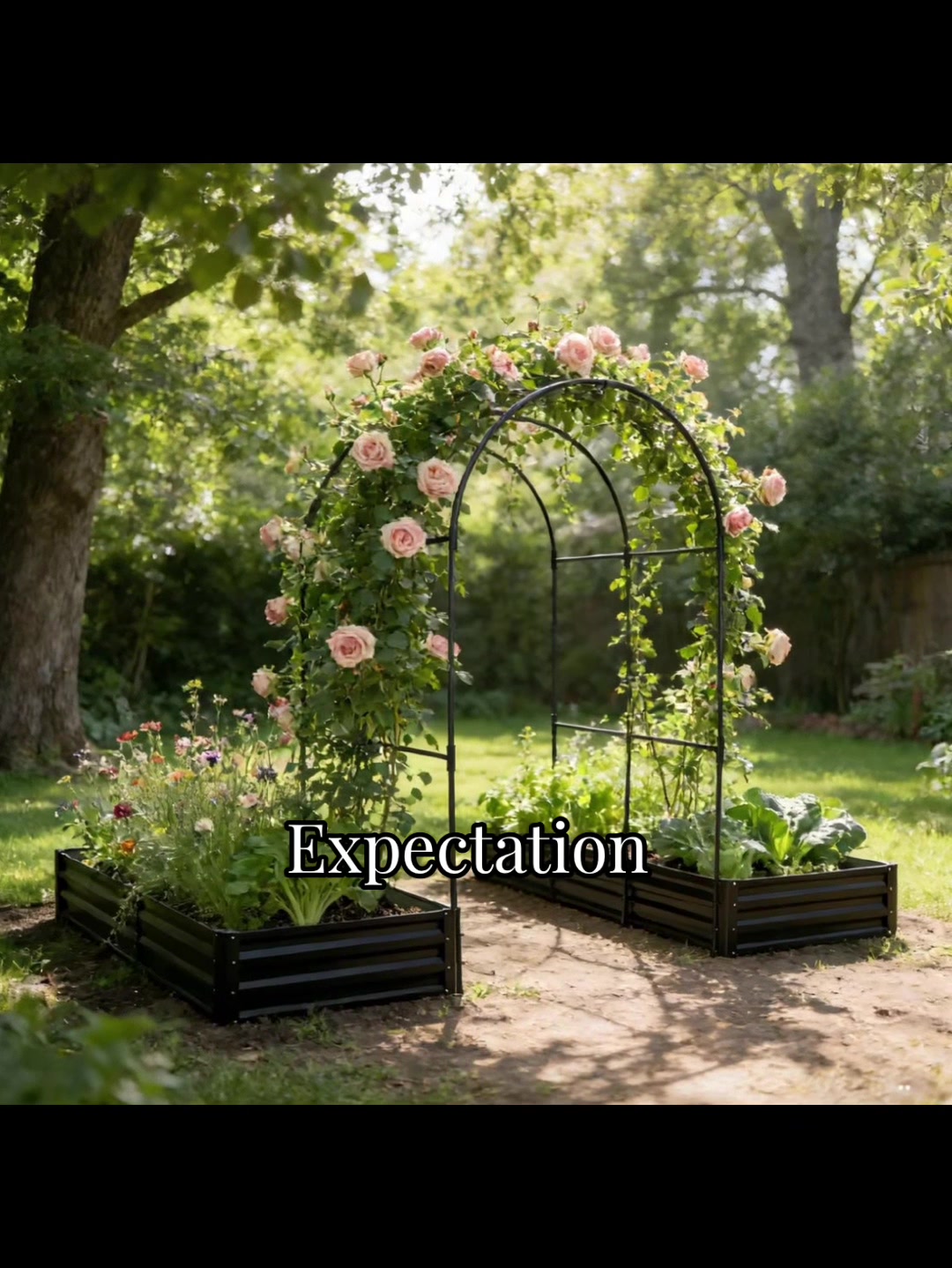 @plantingwithe