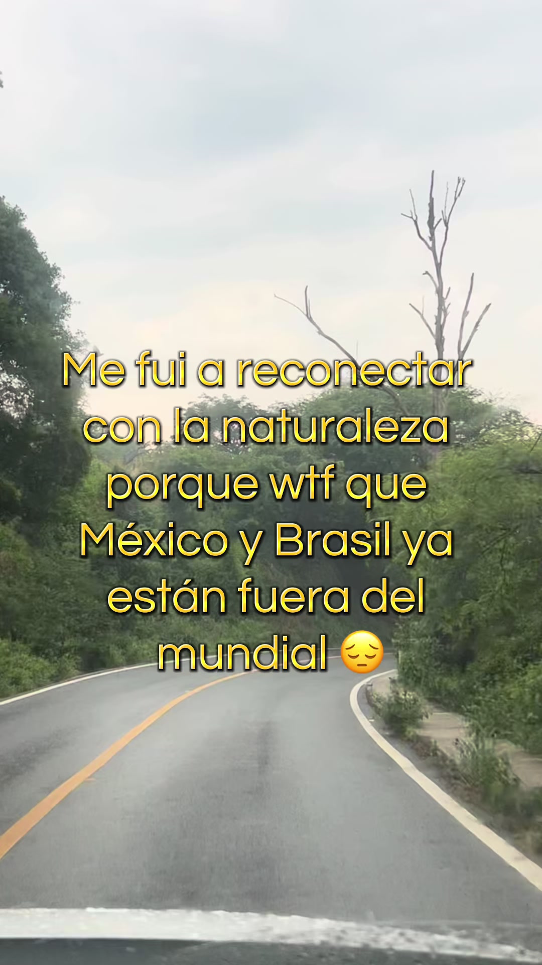 @Gaby Gomlop