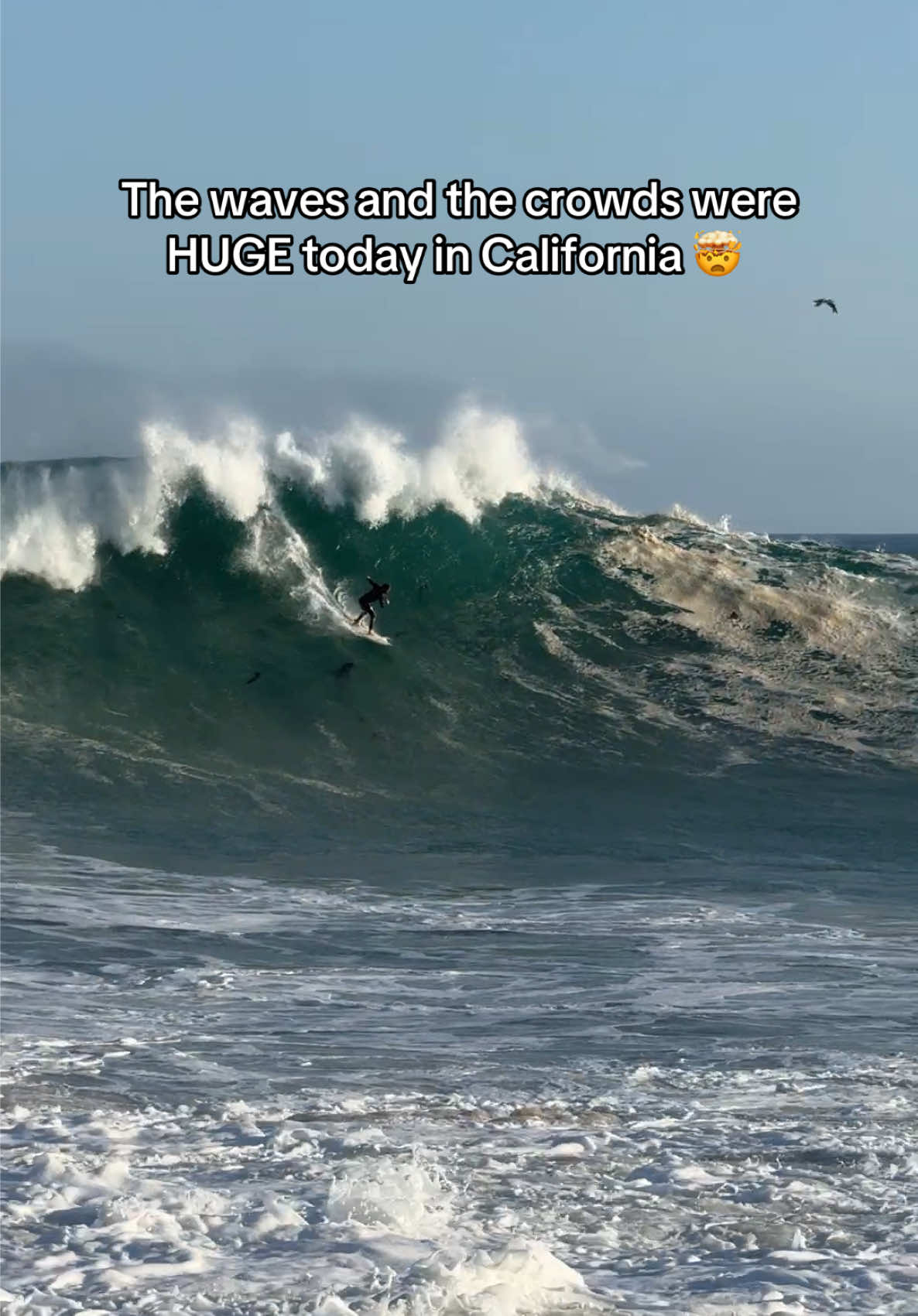 @Surftok