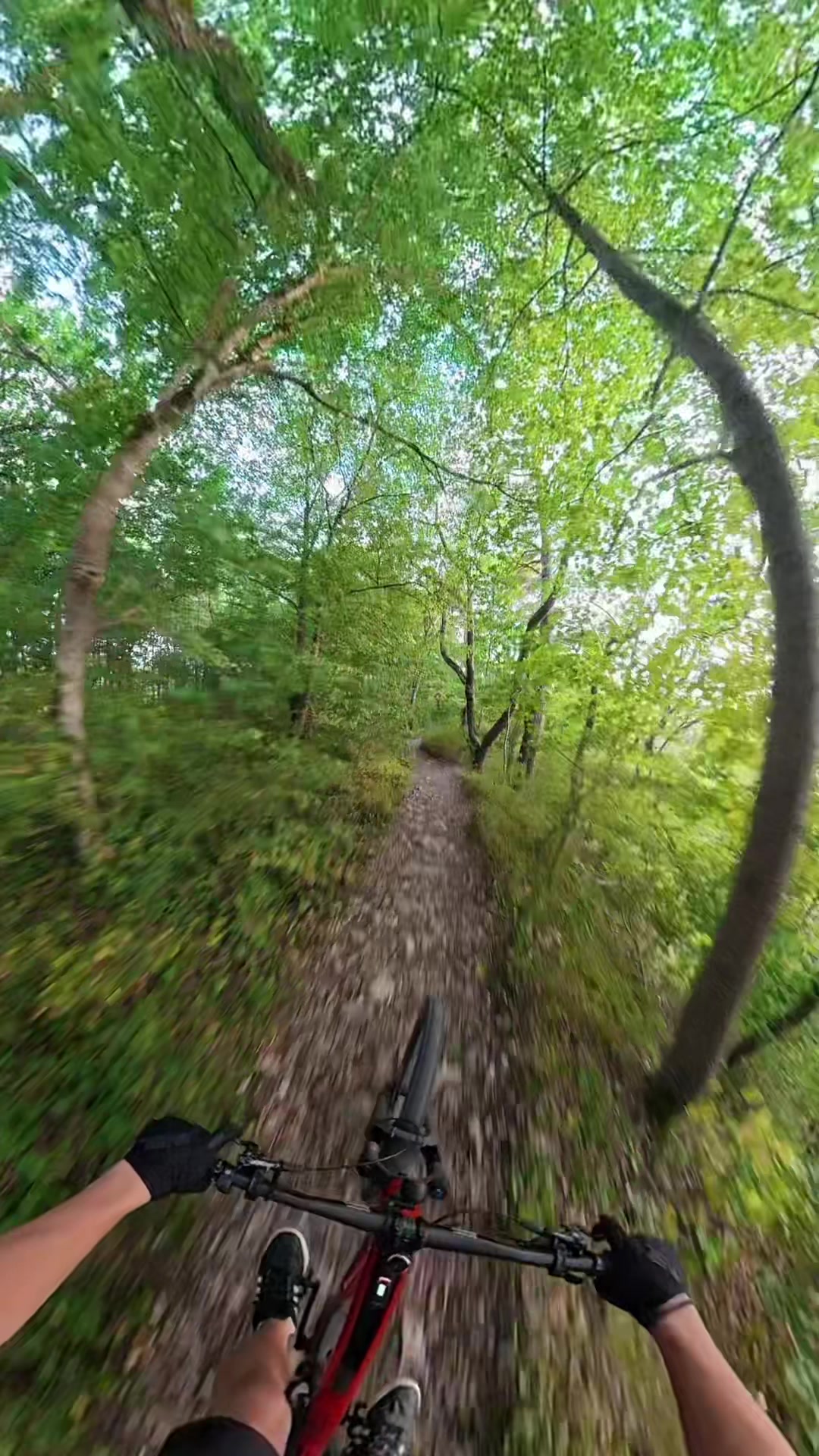 @Luca.mtb🇩🇪🦅✝️