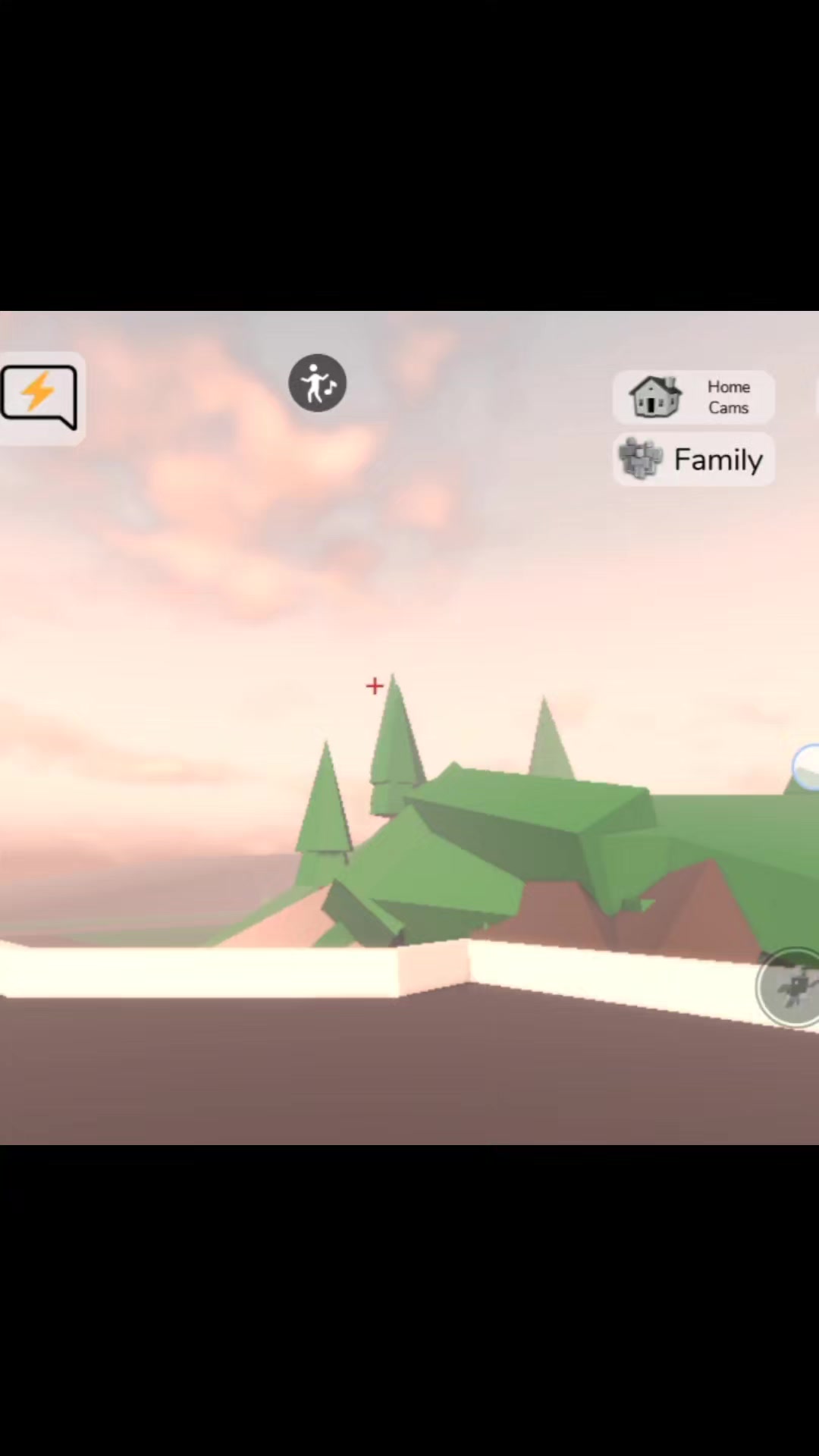 @Roblox_player