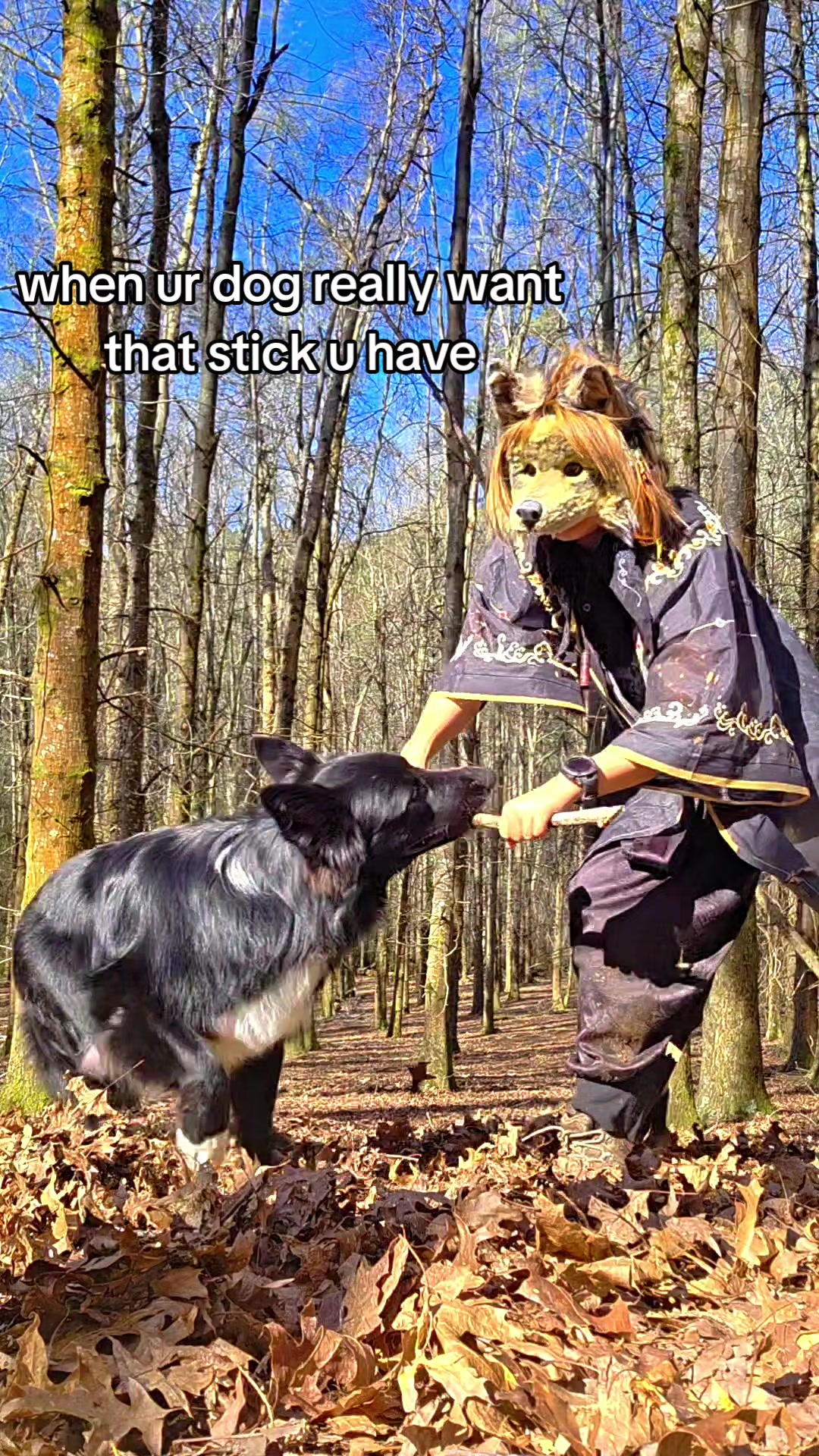 @Aspen is a wolf