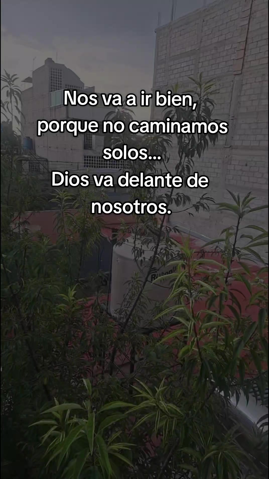 @🎀🫧𝕍𝕖𝕣ó𝕟𝕚𝕔𝕒🫧🎀